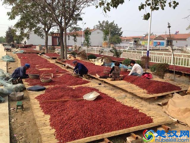 农产品为什么滞销？帮你从原因解决，不再烦恼！