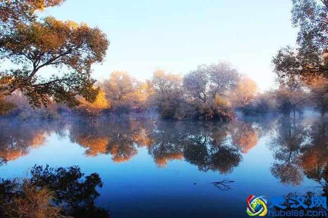 中国金秋9大胡杨林，美到极致，竟有一半是在这个省份！