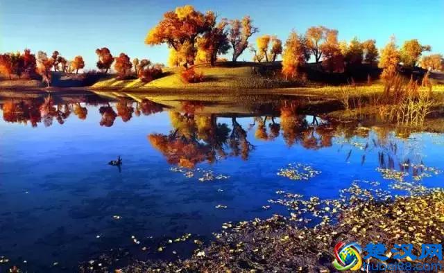 中国金秋9大胡杨林，美到极致，竟有一半是在这个省份！