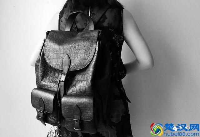 从大牌到平价款，这12个双肩包品牌好看又能装