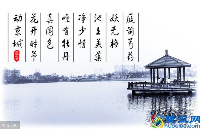 相机不买贵的只买对的，入门到中端单反推荐