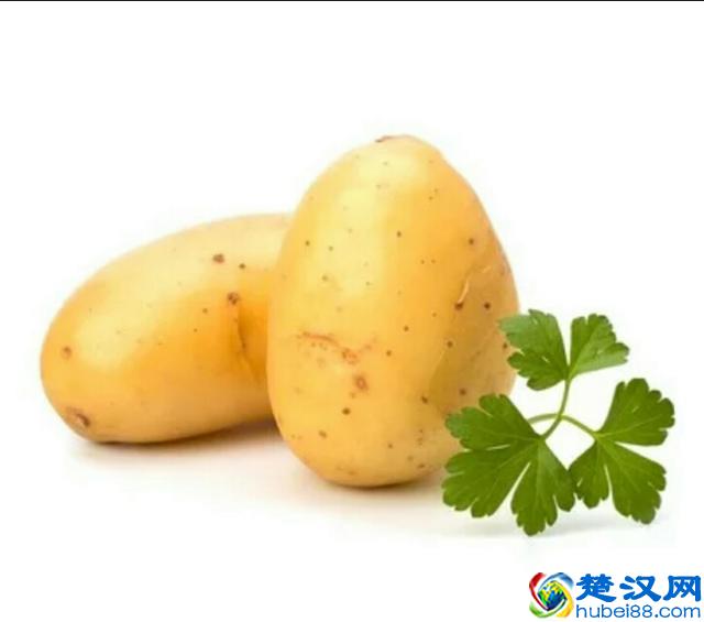 洋芋和土豆，还在傻傻分不清楚？