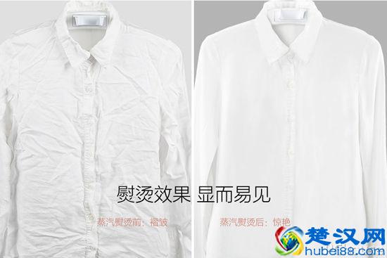 家用挂烫机哪个牌子的好 家用挂烫机使用技巧