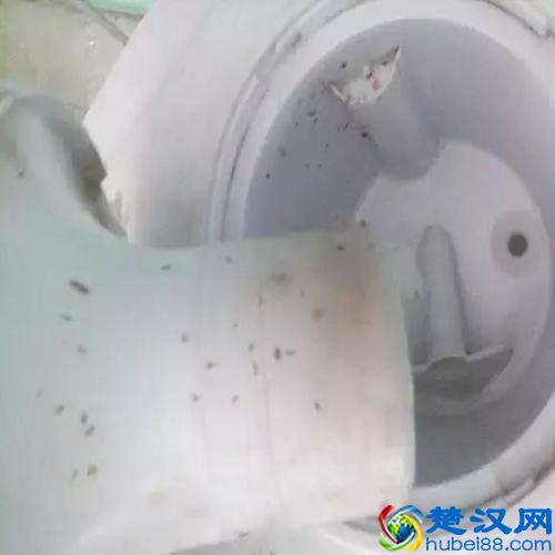 饮水机居然这么脏！老保姆教你实用清洗小妙招，不再喝“毒水”