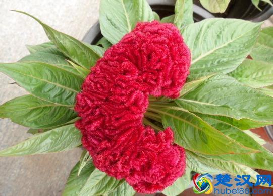 没有销售经验，10个技巧教你如何做好销售