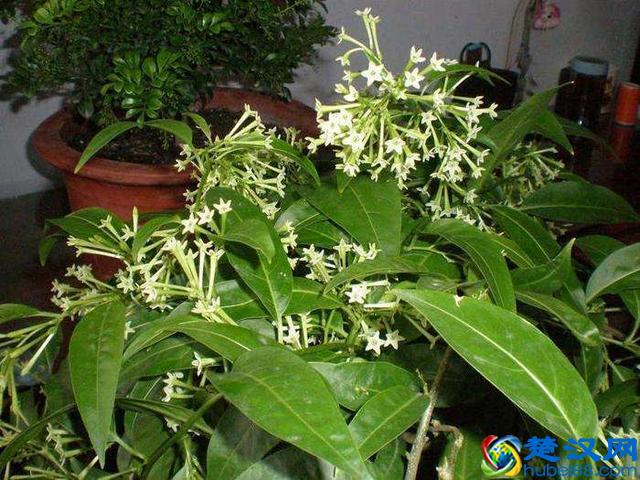 提高转化率的套路那么多，这五个要诀被证明最有效