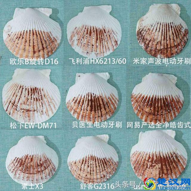 科学测试了9款100-500元电动牙刷，这几款好用最值得买