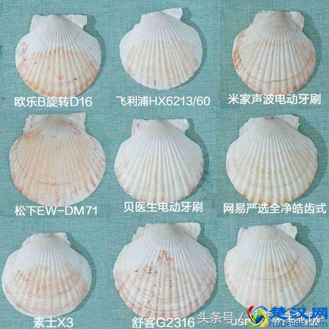 科学测试了9款100-500元电动牙刷，这几款好用最值得买