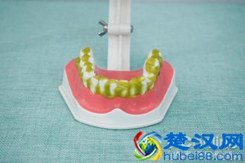 科学测试了9款100-500元电动牙刷，这几款好用最值得买