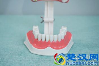 科学测试了9款100-500元电动牙刷，这几款好用最值得买