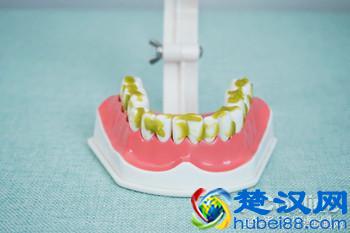 科学测试了9款100-500元电动牙刷，这几款好用最值得买