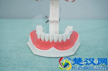 科学测试了9款100-500元电动牙刷，这几款好用最值得买