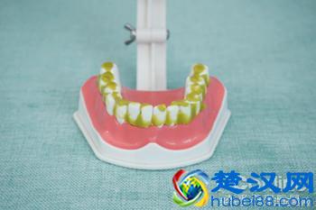 科学测试了9款100-500元电动牙刷，这几款好用最值得买