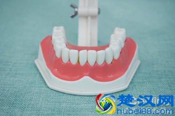 科学测试了9款100-500元电动牙刷，这几款好用最值得买