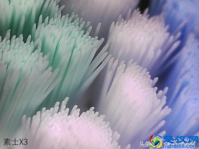 科学测试了9款100-500元电动牙刷，这几款好用最值得买