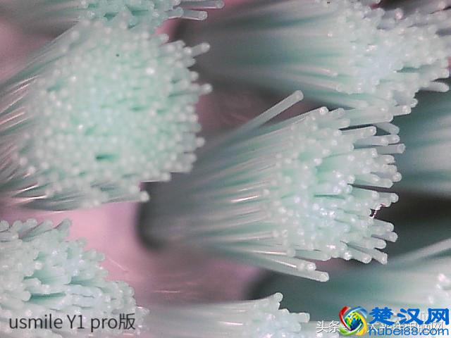 科学测试了9款100-500元电动牙刷，这几款好用最值得买