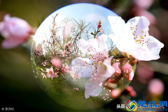 想做淘宝美工的你必须要知道什么是淘宝美工？