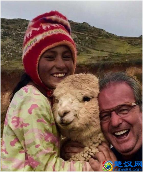 羊驼是什么，是羊还是骆驼，你见过吗？