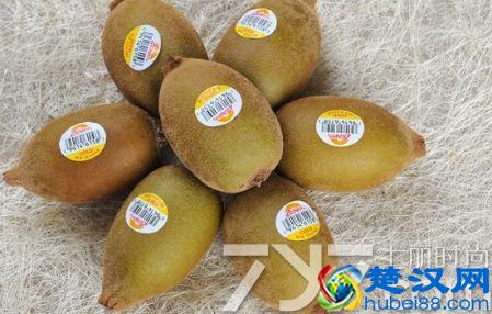 猕猴桃和奇异果有什么区别 6大区别教你鉴别猕猴桃和奇异果