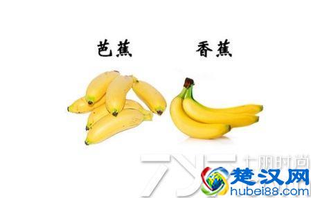 猕猴桃和奇异果有什么区别 6大区别教你鉴别猕猴桃和奇异果