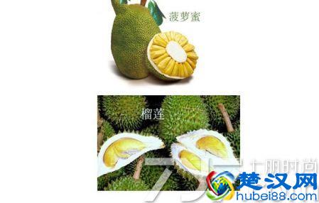 猕猴桃和奇异果有什么区别 6大区别教你鉴别猕猴桃和奇异果