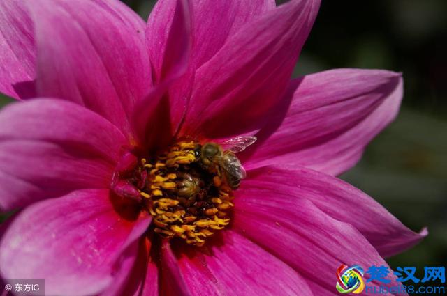 皮肤过敏的症状有哪些？4个明显症状，千万不要忽视了