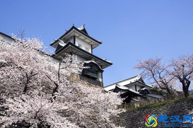 「留学」日本金泽大学