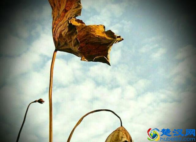 夏天太热，厨房炒菜更热，在家煮火锅，省事又省时，吃的开心