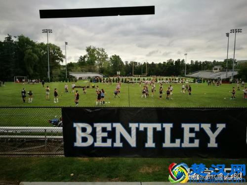 去本特利大学本科怎么样