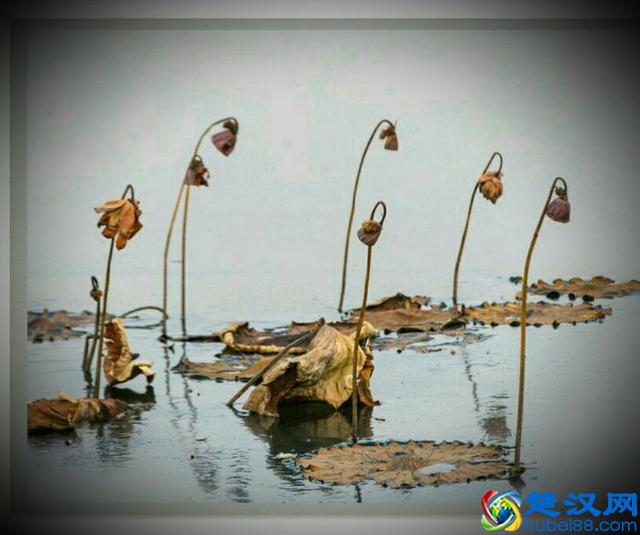 夏天太热，厨房炒菜更热，在家煮火锅，省事又省时，吃的开心