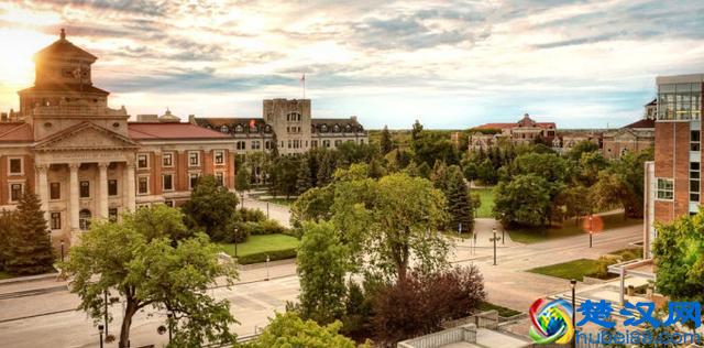 走进华盛顿大学圣路易斯