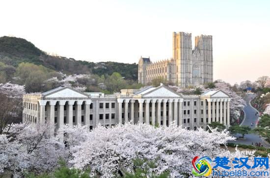 韩国庆熙大学专业设置