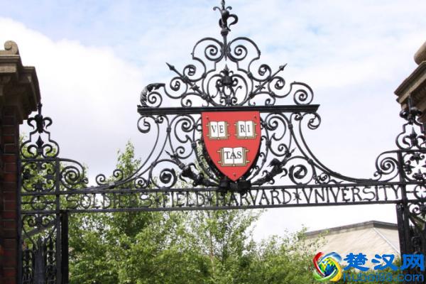 哈佛大学申请条件包括哪些方面？