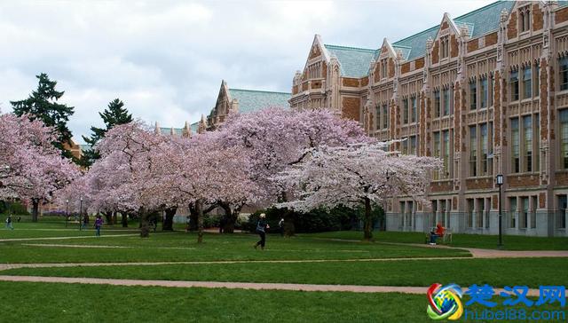 美国华盛顿大学排名 各榜单排名介绍