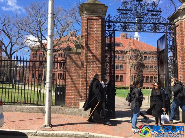 随拍世界顶尖大学哈佛