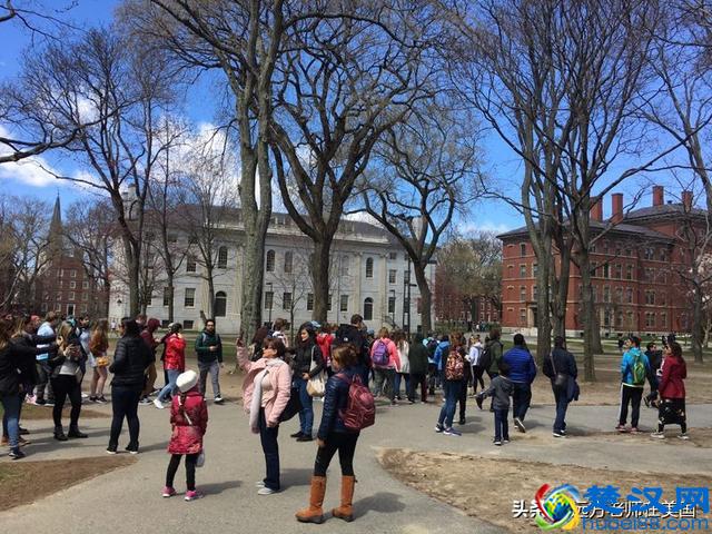 随拍世界顶尖大学哈佛