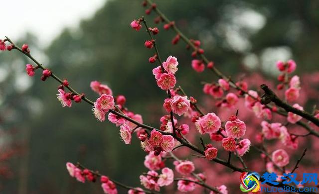 新房装修买什么牌子的开关插座好？开关插座10大品牌榜