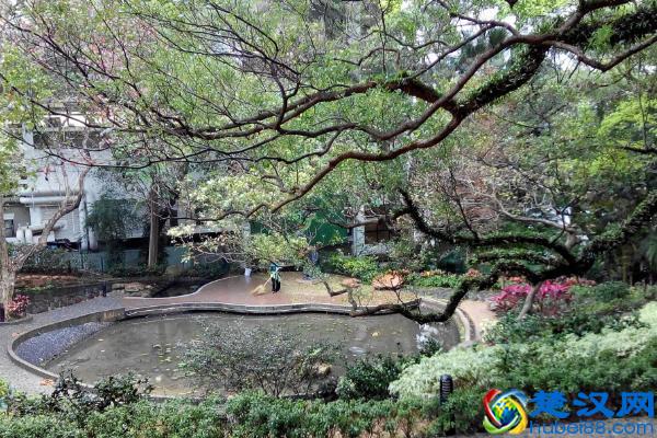 香港城市大学跟985比哪一个比较好