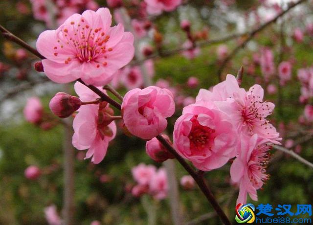 新房装修买什么牌子的开关插座好？开关插座10大品牌榜