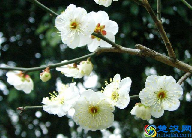 新房装修买什么牌子的开关插座好？开关插座10大品牌榜