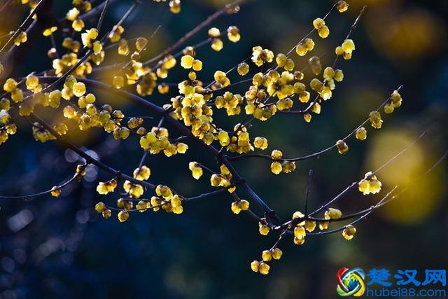 新房装修买什么牌子的开关插座好？开关插座10大品牌榜