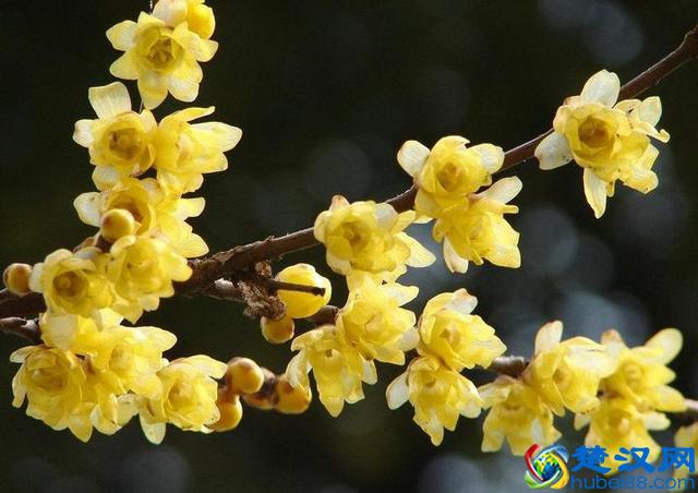 家里面的厨房应该装上净水器