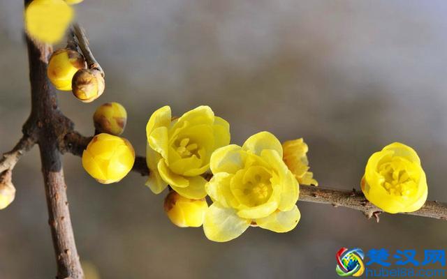 家里面的厨房应该装上净水器