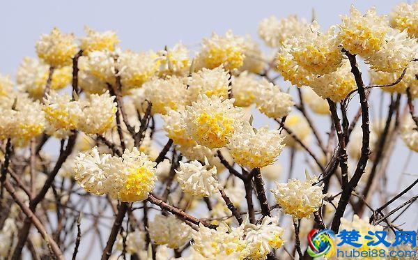 低价卖健身会员卡，再把“你”给卖了，这坑人生意还挺火...