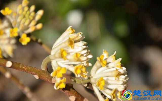 低价卖健身会员卡，再把“你”给卖了，这坑人生意还挺火...