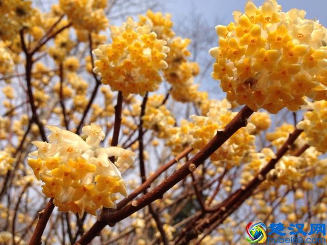 低价卖健身会员卡，再把“你”给卖了，这坑人生意还挺火...