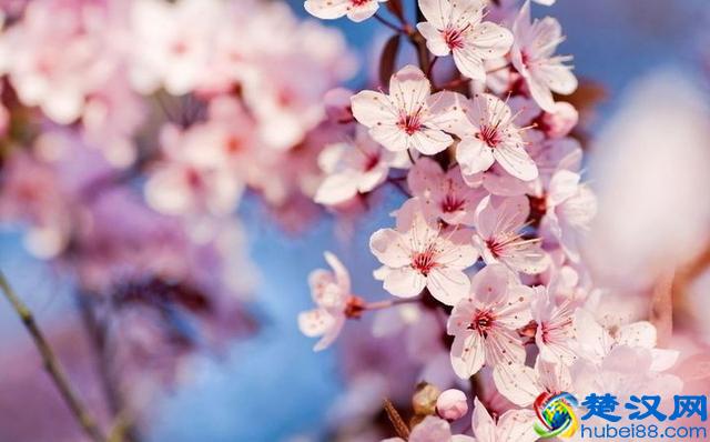 OA系统定制开发：OA系统开发应用让企业实现自动化办公