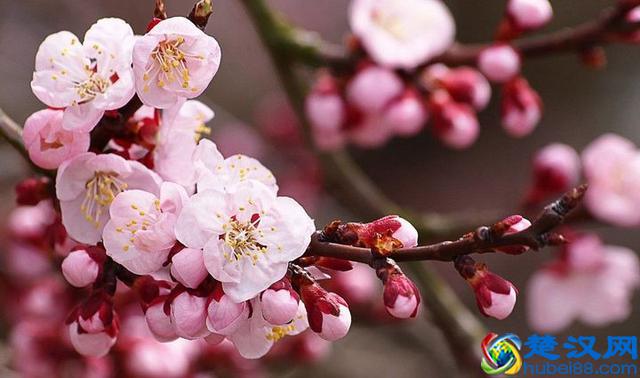 OA系统定制开发：OA系统开发应用让企业实现自动化办公