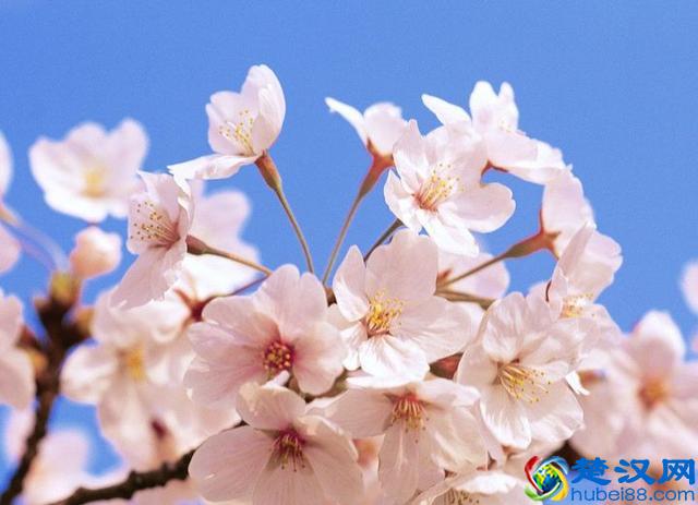 OA系统定制开发：OA系统开发应用让企业实现自动化办公