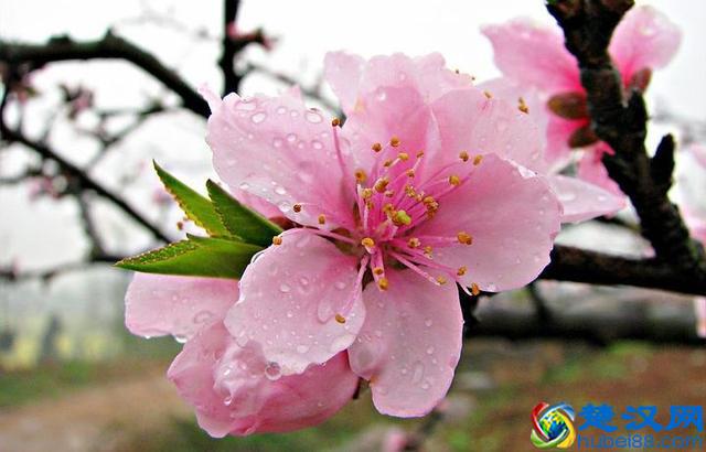 贾春新：中国金融业，“病”在哪儿？